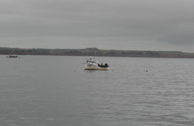 Lobster fishers Northumberland Strait